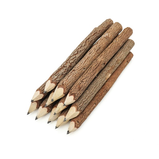 [GC101-MA] 5 Inch Twig Black Pencil